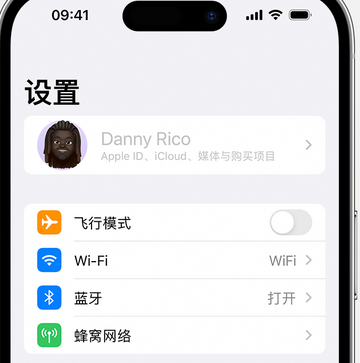 汪场镇appleID维修服务iPhone设置中Apple ID显示为灰色无法使用