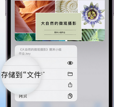 汪场镇apple维修中心分享iPhone文件应用中存储和找到下载文件