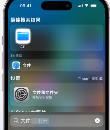 汪场镇apple维修中心分享iPhone文件应用中存储和找到下载文件 