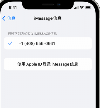 汪场镇apple维修iPhone上无法正常发送iMessage信息