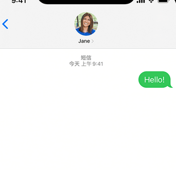 汪场镇apple维修iPhone上无法正常发送iMessage信息