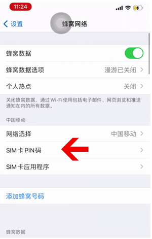 汪场镇苹果14维修网分享如何给iPhone14的SIM卡设置密码 