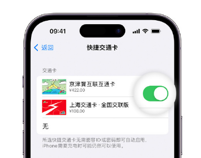 汪场镇apple维修点分享iPhone上更换Apple Pay快捷交通卡手绘卡面 