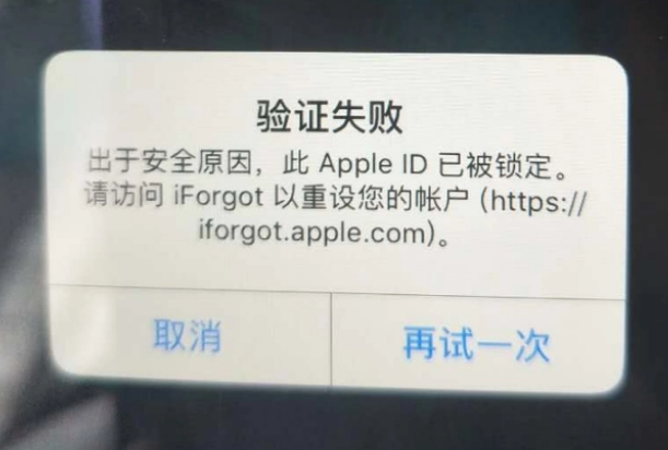 汪场镇iPhone维修分享iPhone上正常登录或使用AppleID怎么办 