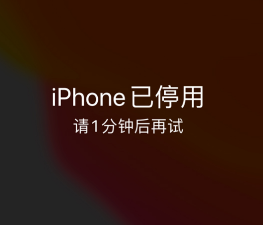 汪场镇苹果手机维修分享:iPhone 显示“不可用”或“已停用”怎么办？还能保留数据吗？ 