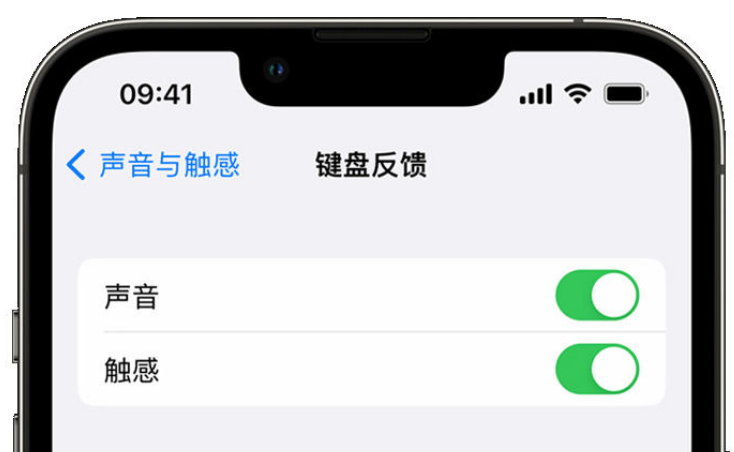 汪场镇苹果手机维修分享iPhone 14触感键盘使用方法 