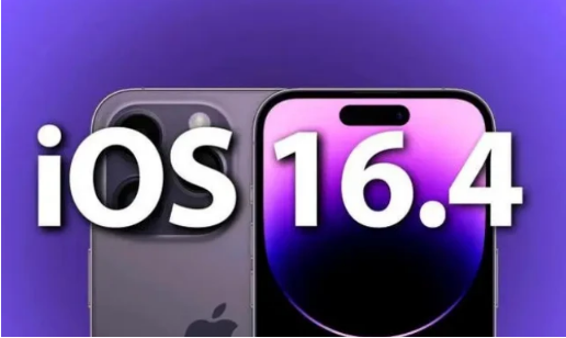 汪场镇苹果14维修分享：iPhone14可以升级iOS16.4beta2吗？ 