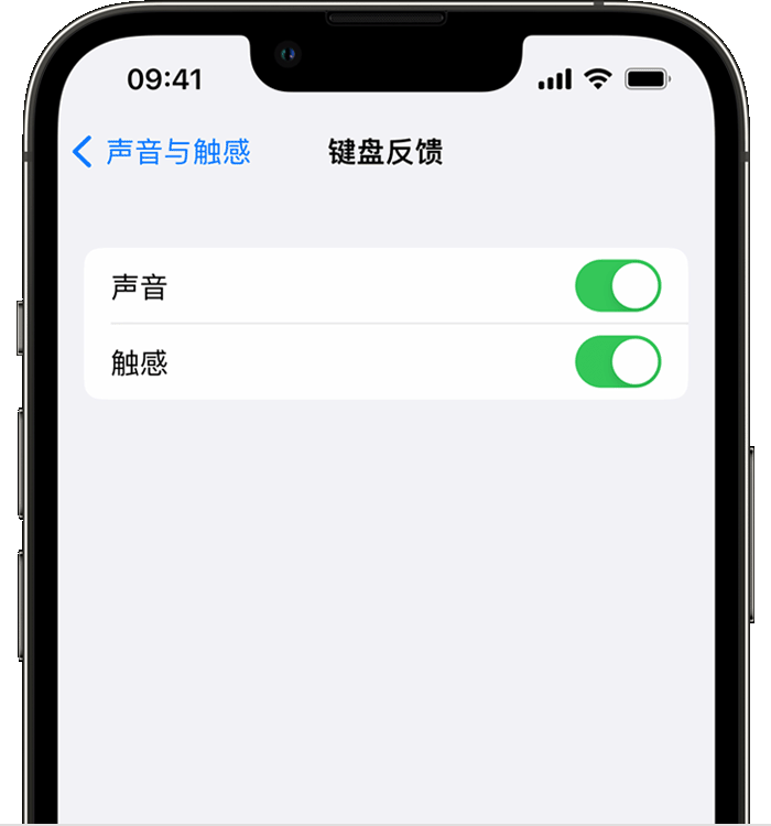 汪场镇苹果14维修店分享如何在 iPhone 14 机型中使用触感键盘 