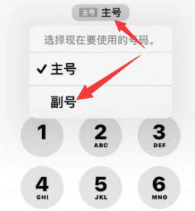 汪场镇苹果14维修店分享iPhone 14 Pro Max使用副卡打电话的方法 