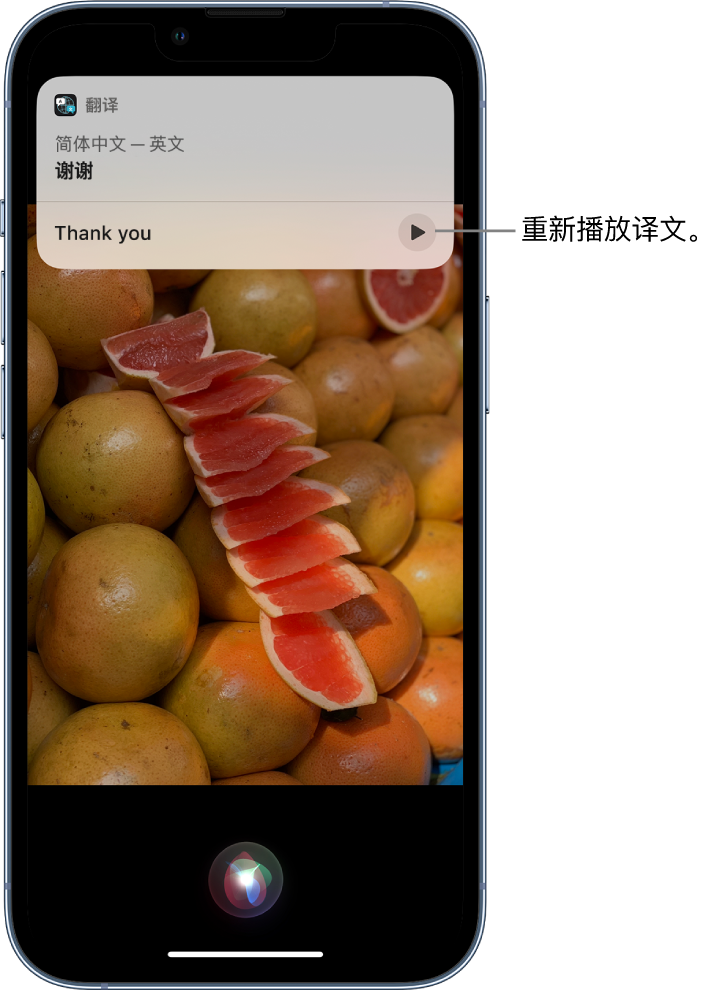 汪场镇苹果14维修分享 iPhone 14 机型中使用 Siri：了解 Siri 能帮你做什么 