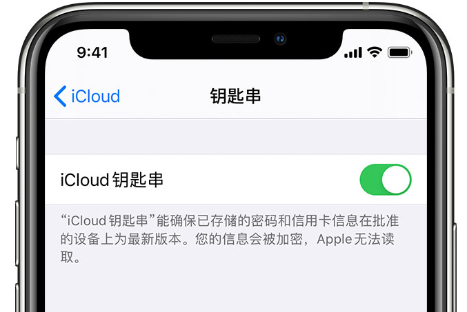 汪场镇苹果手机维修分享在 iPhone 上开启 iCloud 钥匙串之后会储存哪些信息 