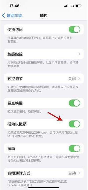 汪场镇苹果手机维修分享iPhone手机如何设置摇一摇删除文字 